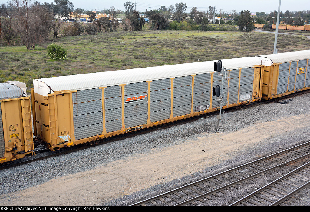 ETTX 810031