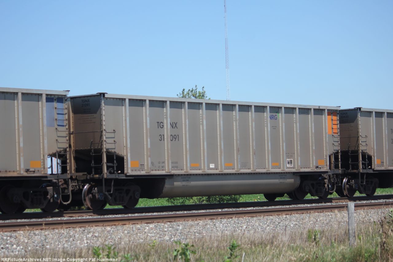TGNX 31091