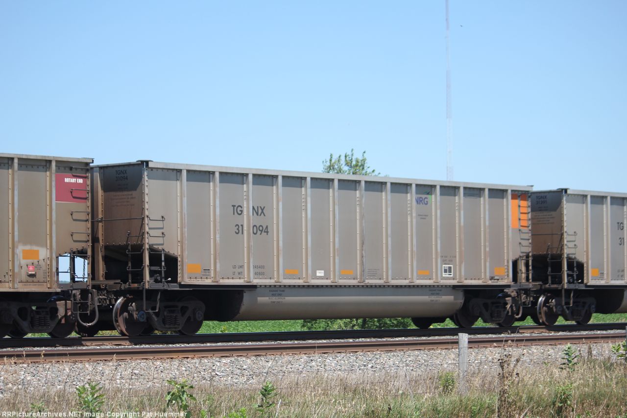 TGNX 31094
