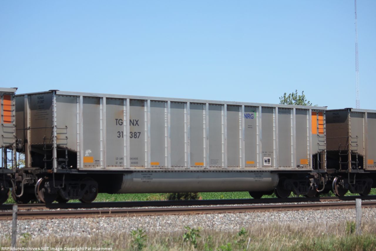 TGNX 31387