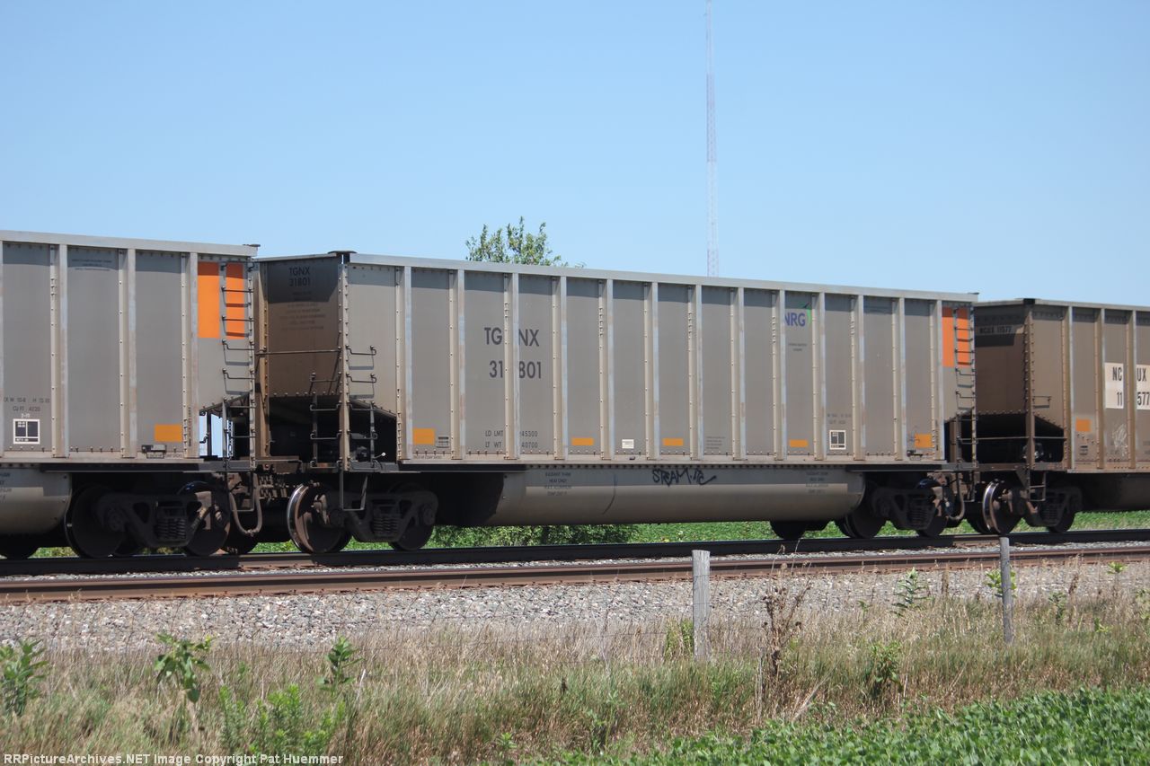 TGNX 31801