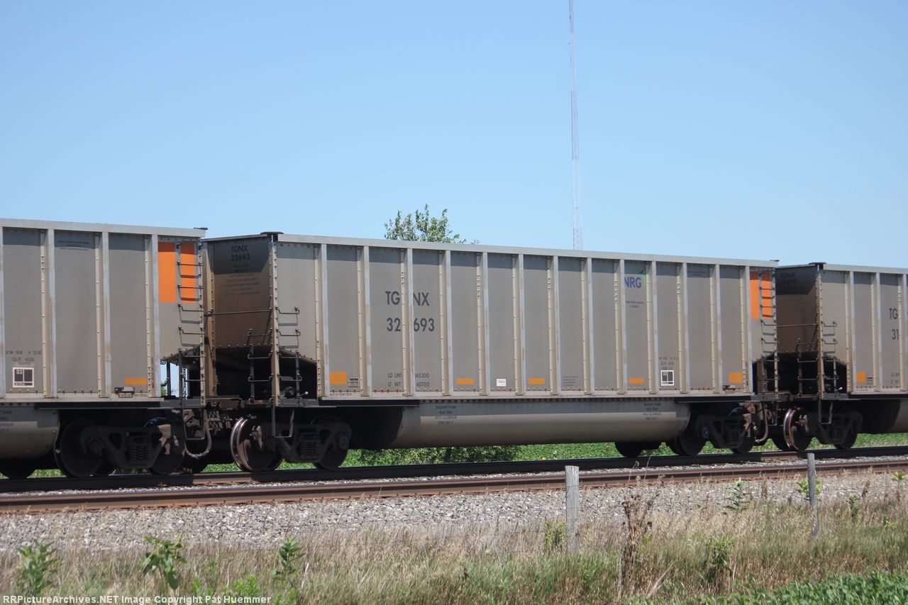 TGNX 32693