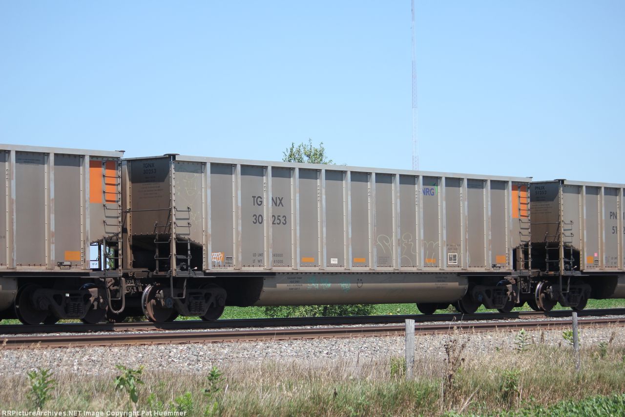 TGNX 30253