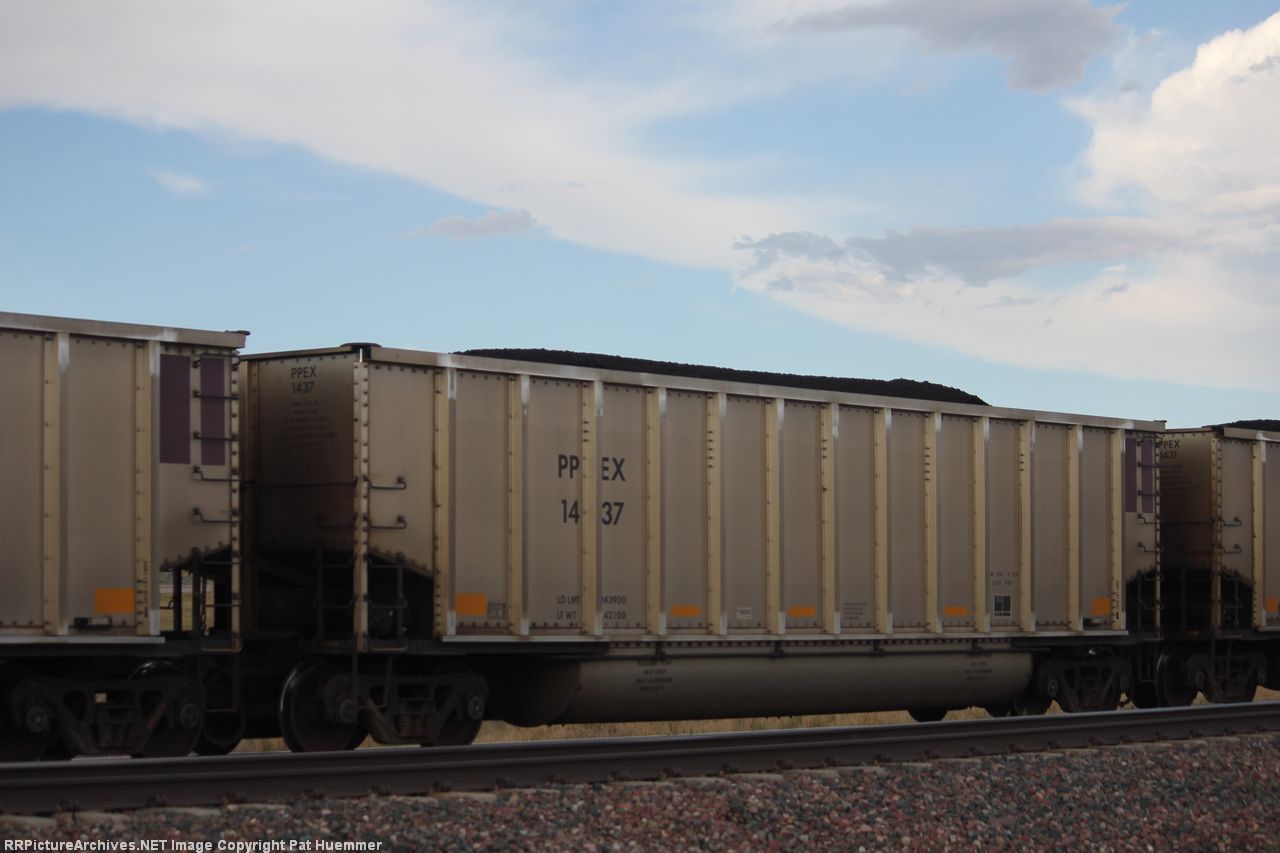 PPEX 1437