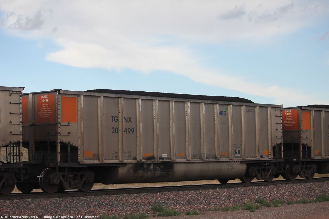 TGNX 30499