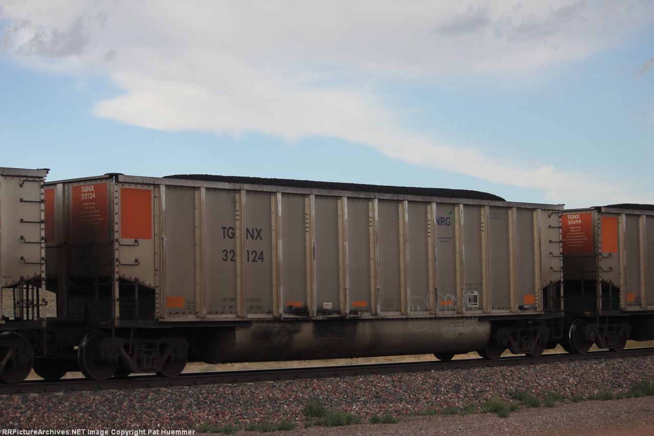 TGNX 32124