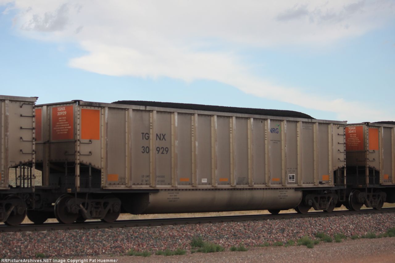 TGNX 30929