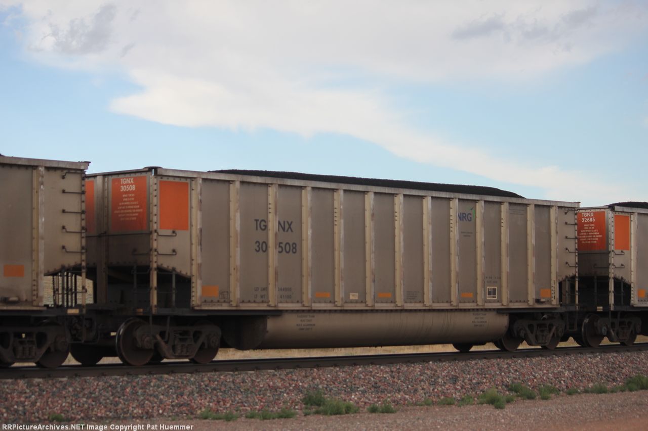 TGNX 30508