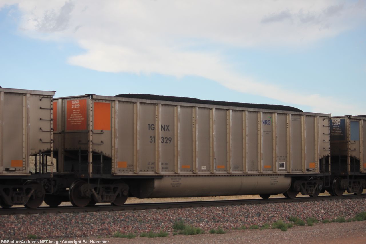 TGNX 31329