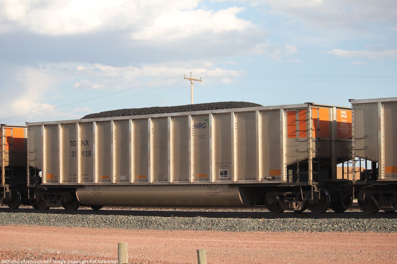 TGNX 31938