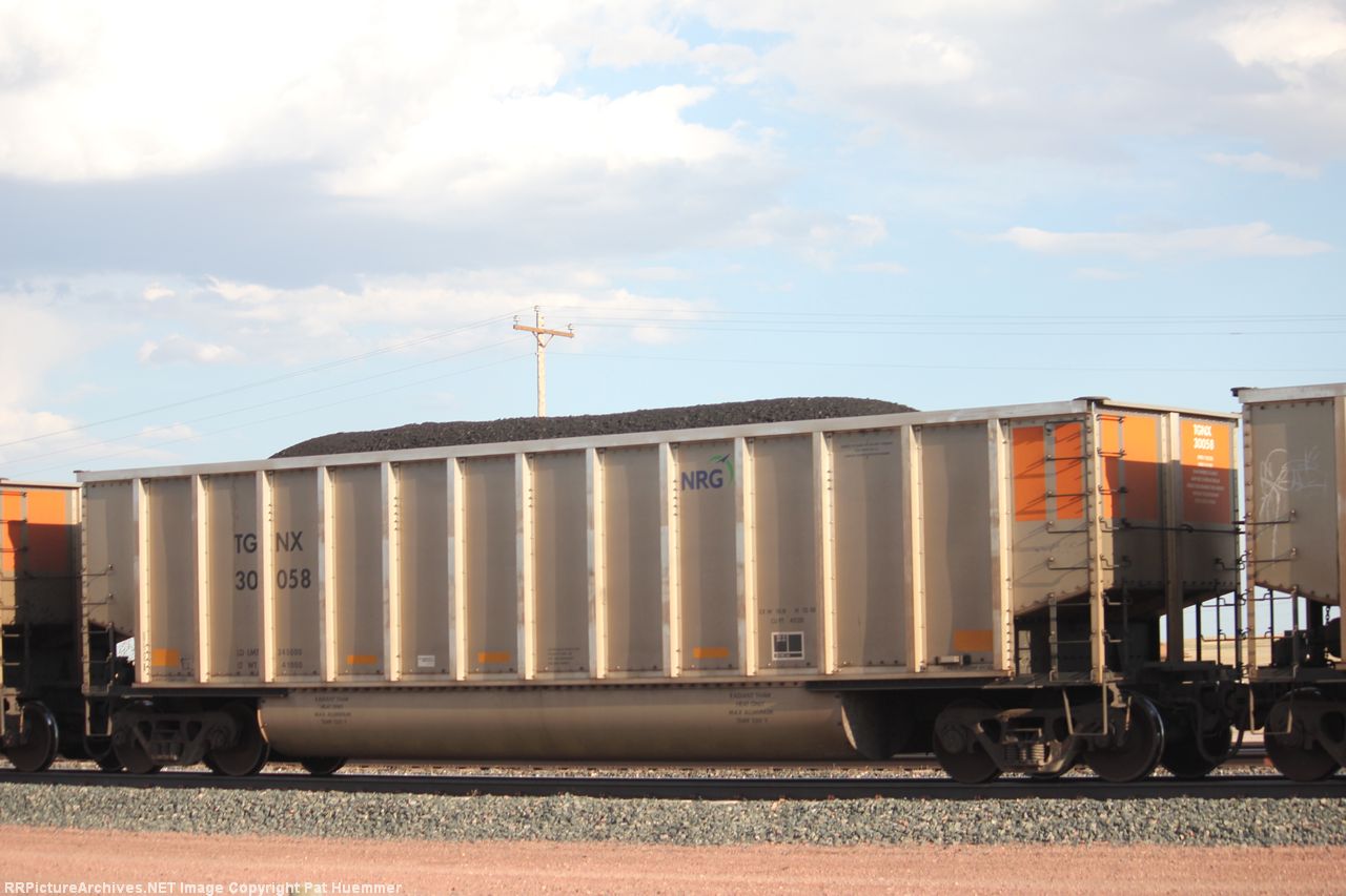 TGNX 30058