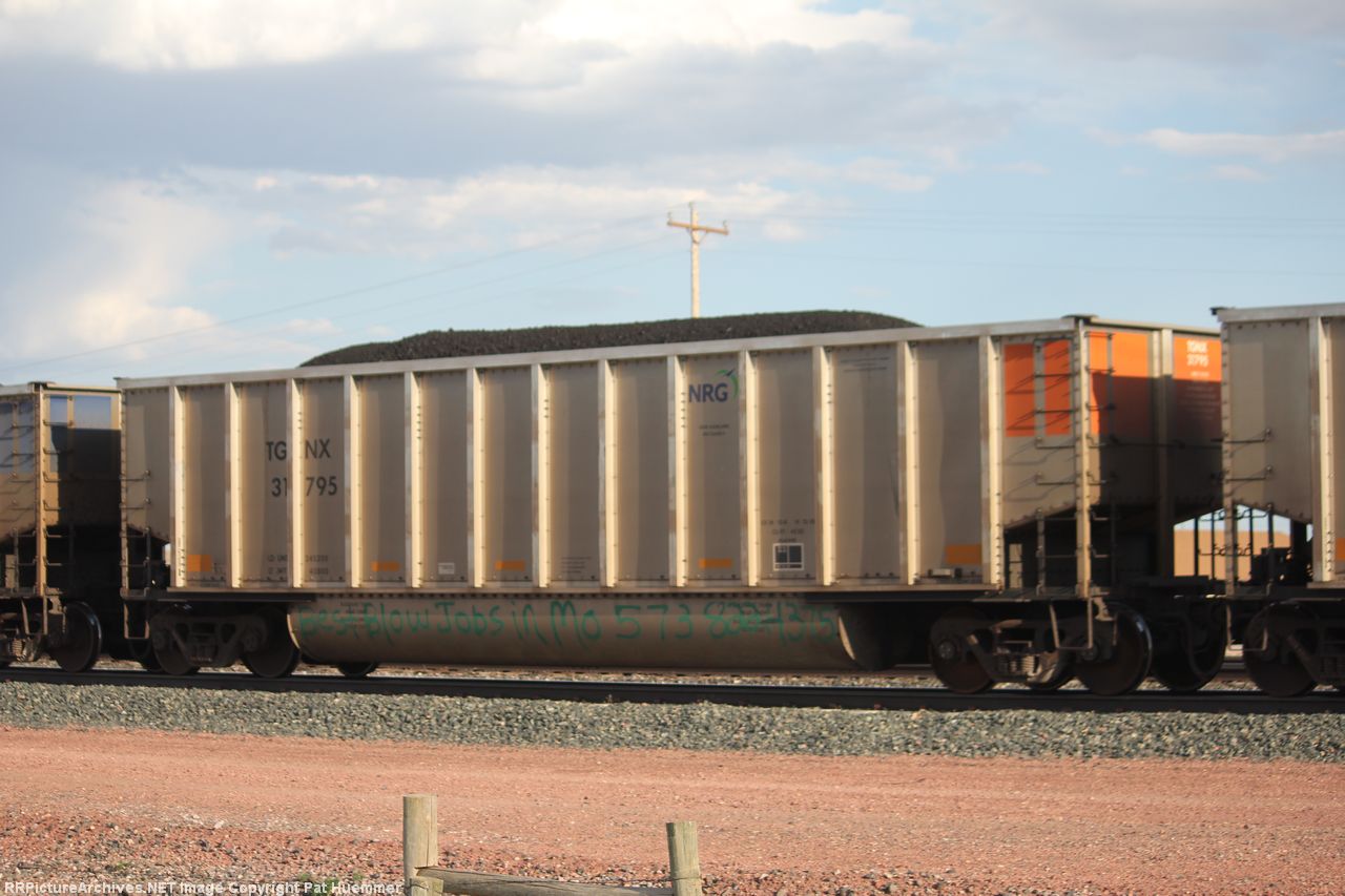 TGNX 31795