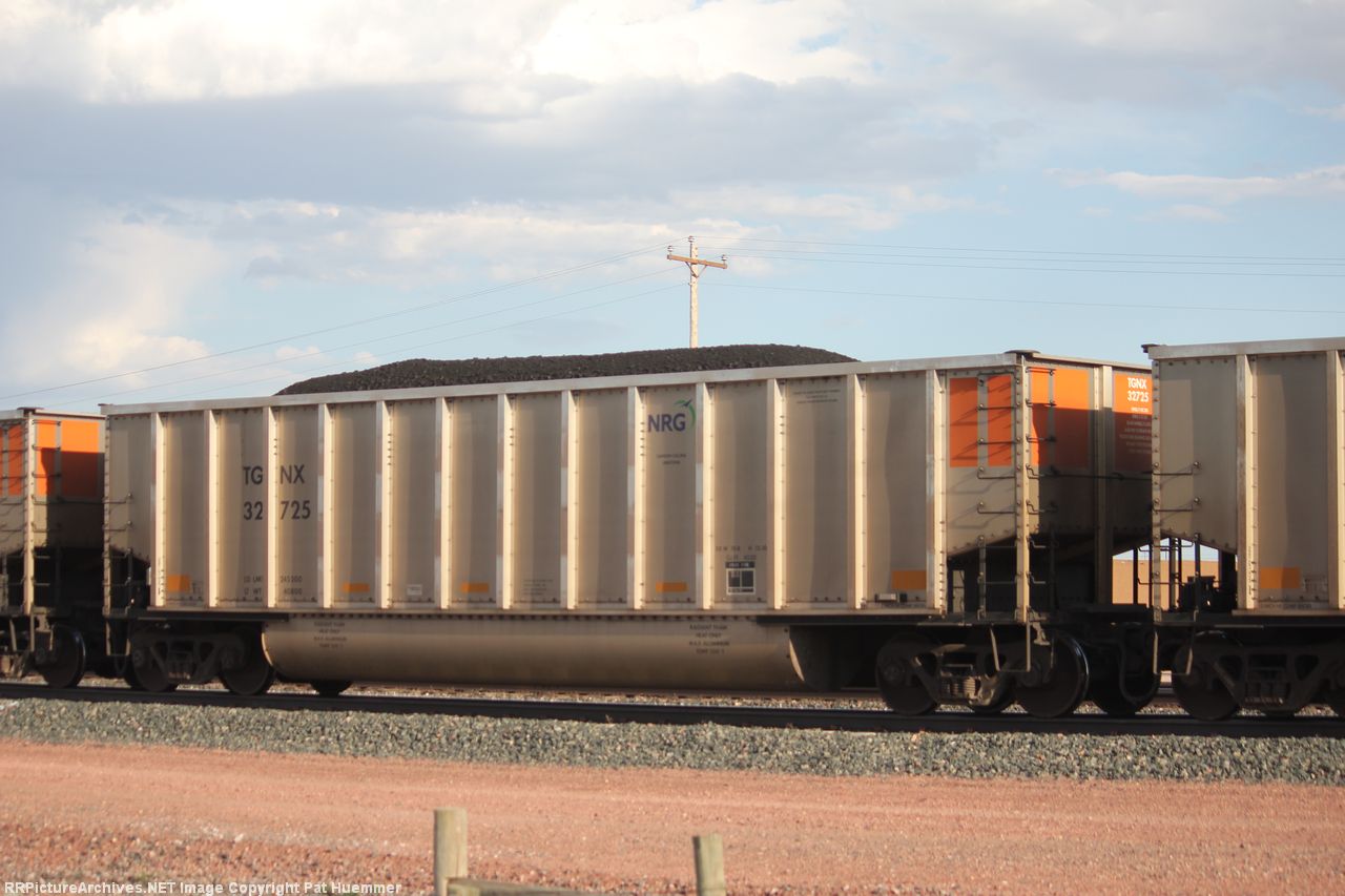 TGNX 32725