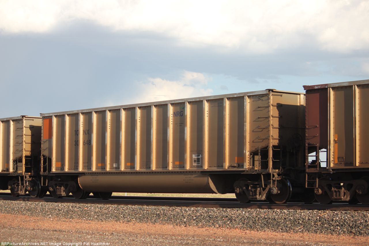 TGNX 30648