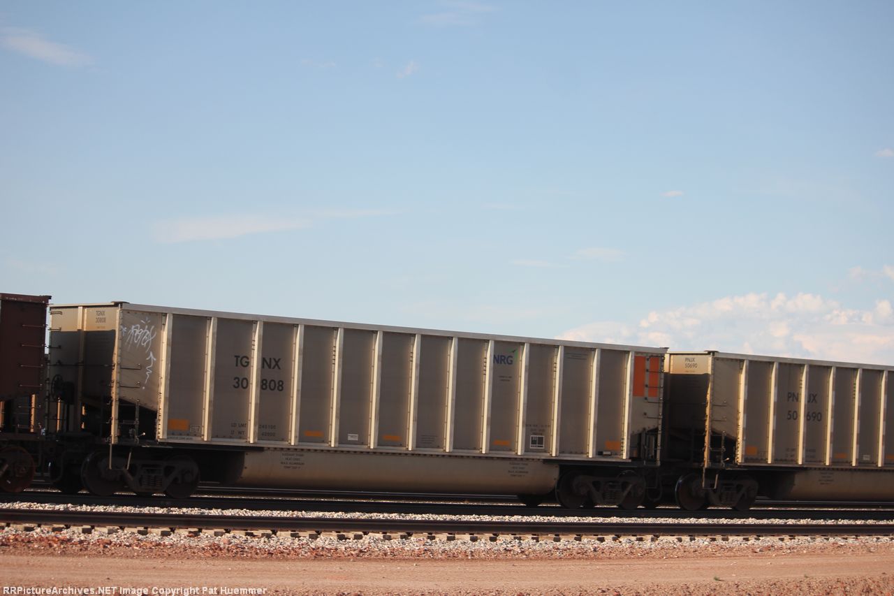 TGNX 30808