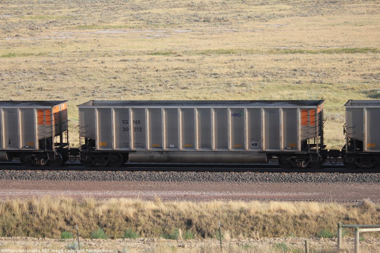 TGNX 30212