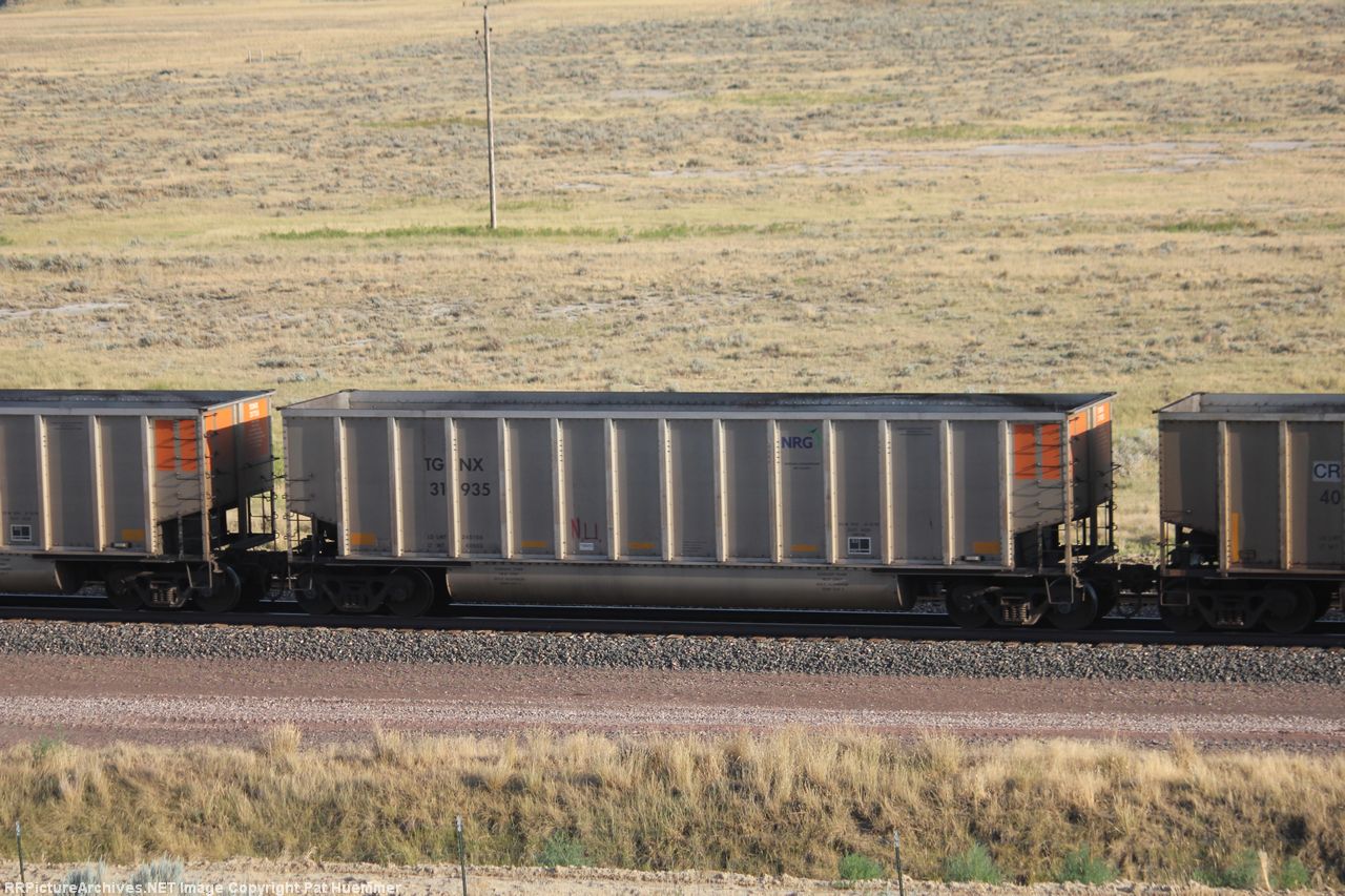 TGNX 31935