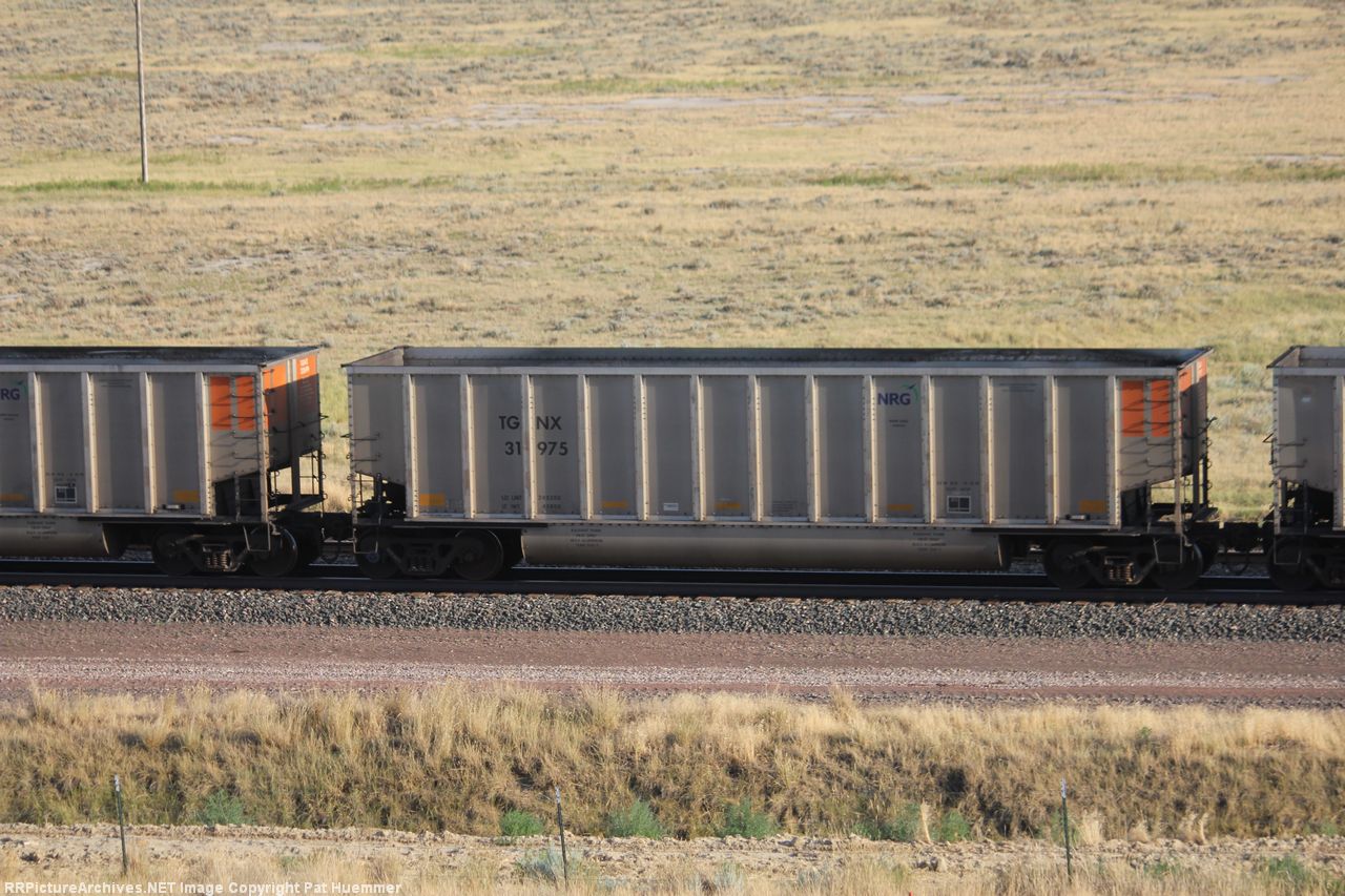 TGNX 31975