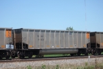 TGNX 31823