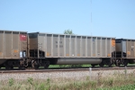 TGNX 30809