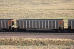 TGNX 30657