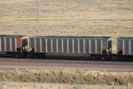 PNJX 50086