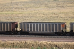 TGNX 30699
