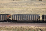 PNJX 50932