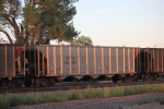 XCLX 60082