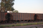 XCLX 60239