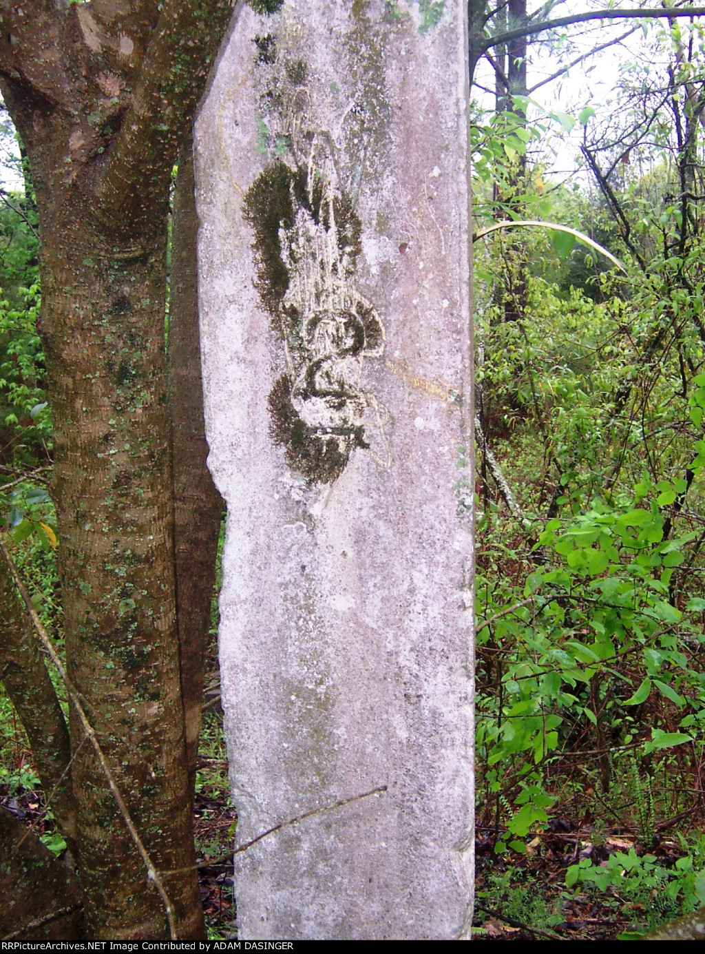 Mile Marker 27, Vester Cole Street 