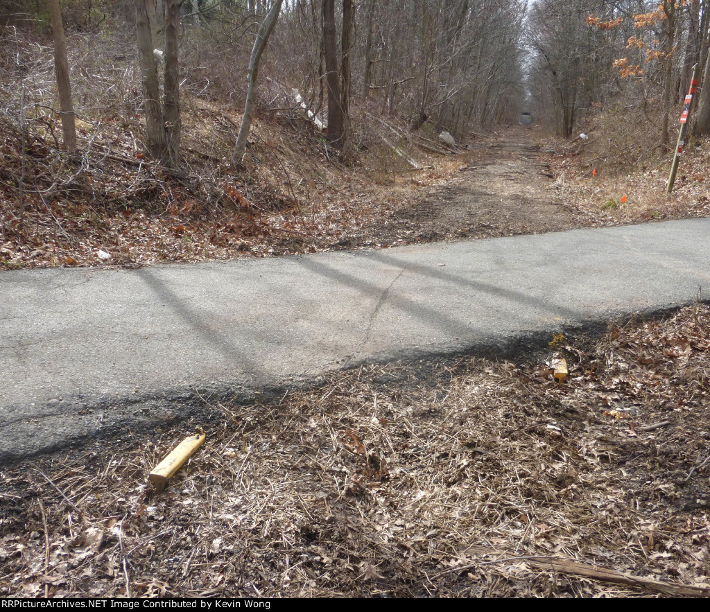 Paved over Morristown & Erie crossing with rails in place, Lester C. Noecker School walkway