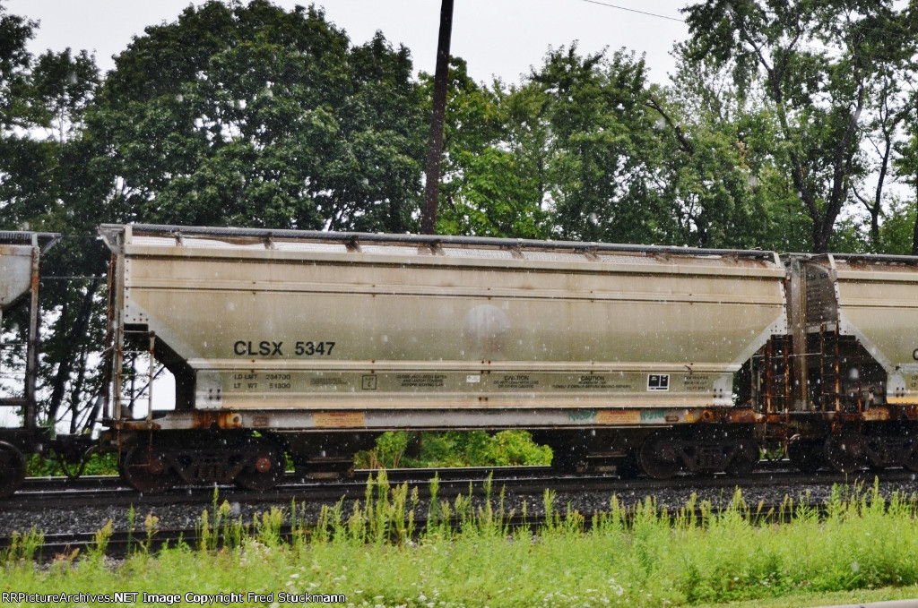 CLSX 5347 is a bit odd looking and new here.