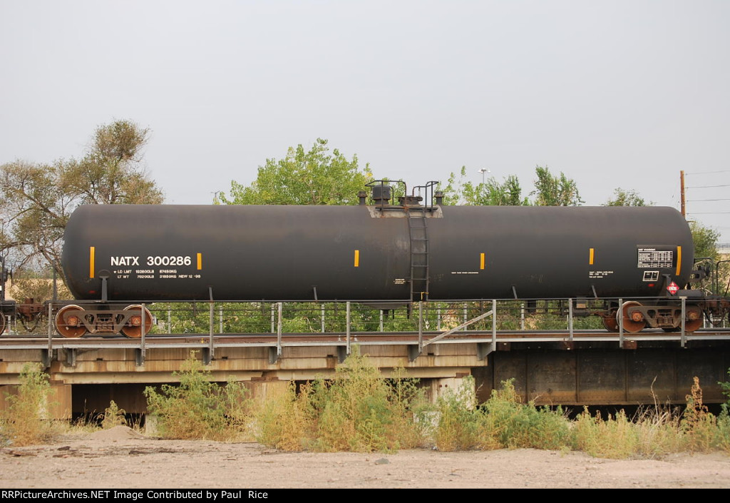NATX 300286