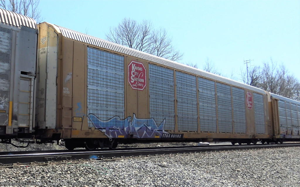TTGX 691182