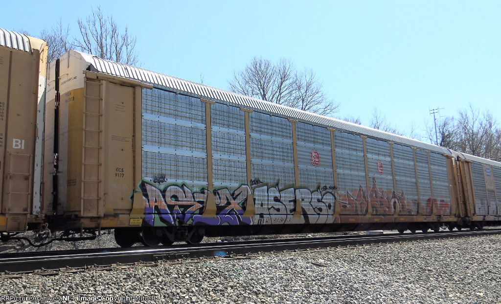 TTGX 942803