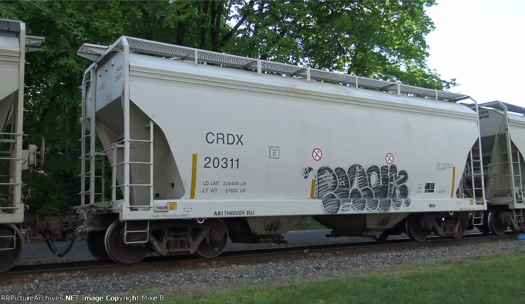 CRDX 20311