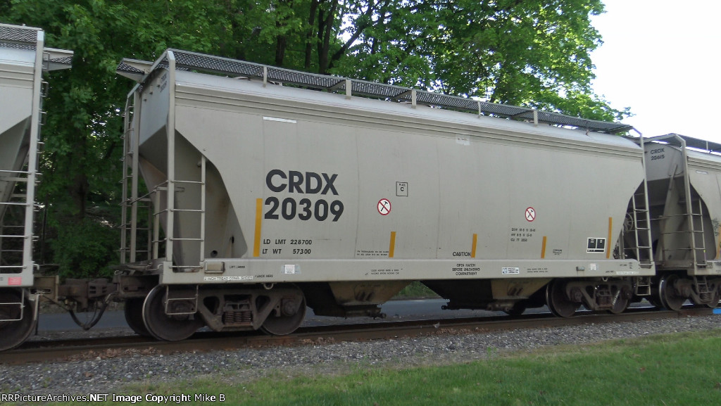 CRDX 20309