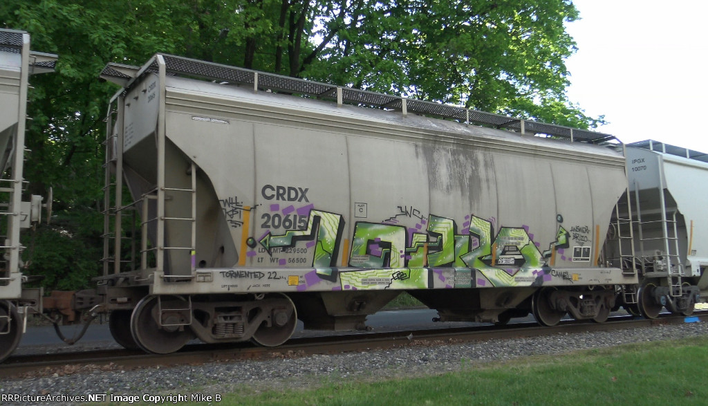 CRDX 20615