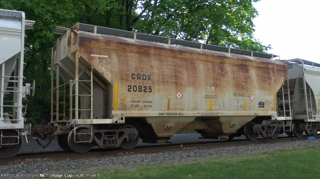 CRDX 20825