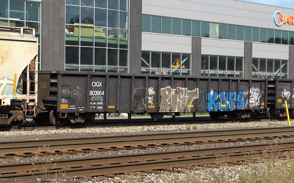 CIGX 803954