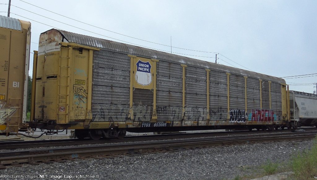 TTGX 603885