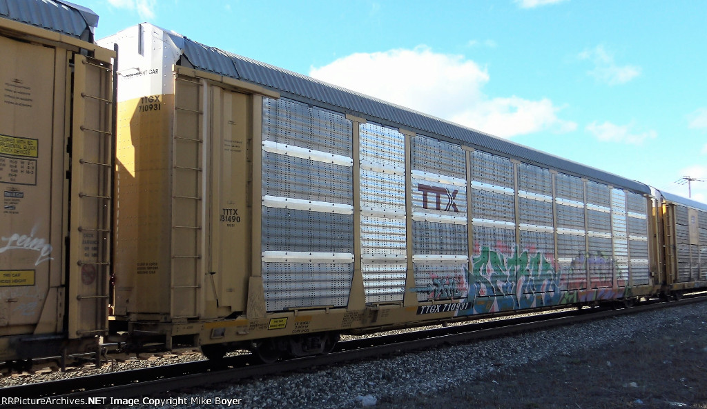 TTGX 710931