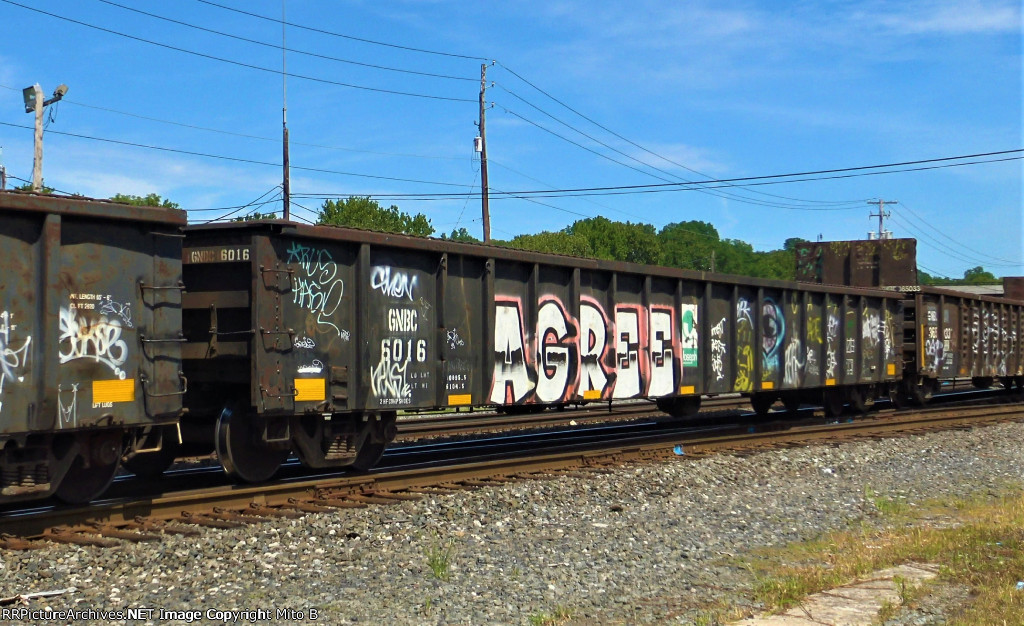 GNBC 6016