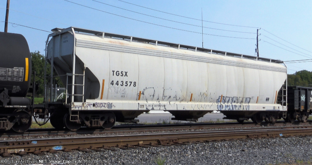 TGSX 443578