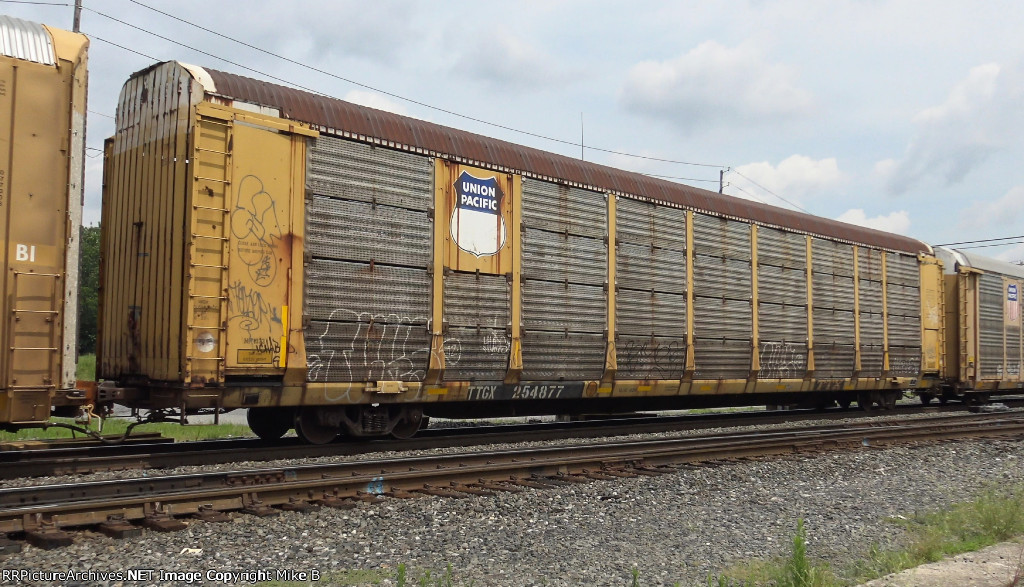 TTGX 254877