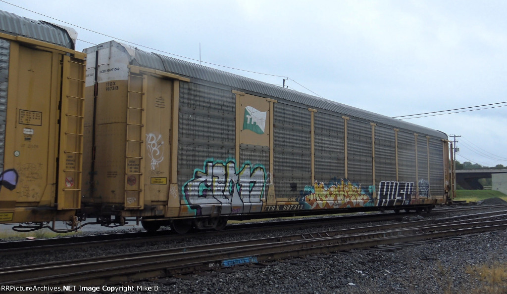 TTGX 987313