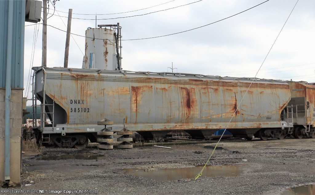 DNAX 585102