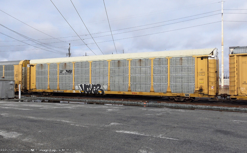 TTGX 604272