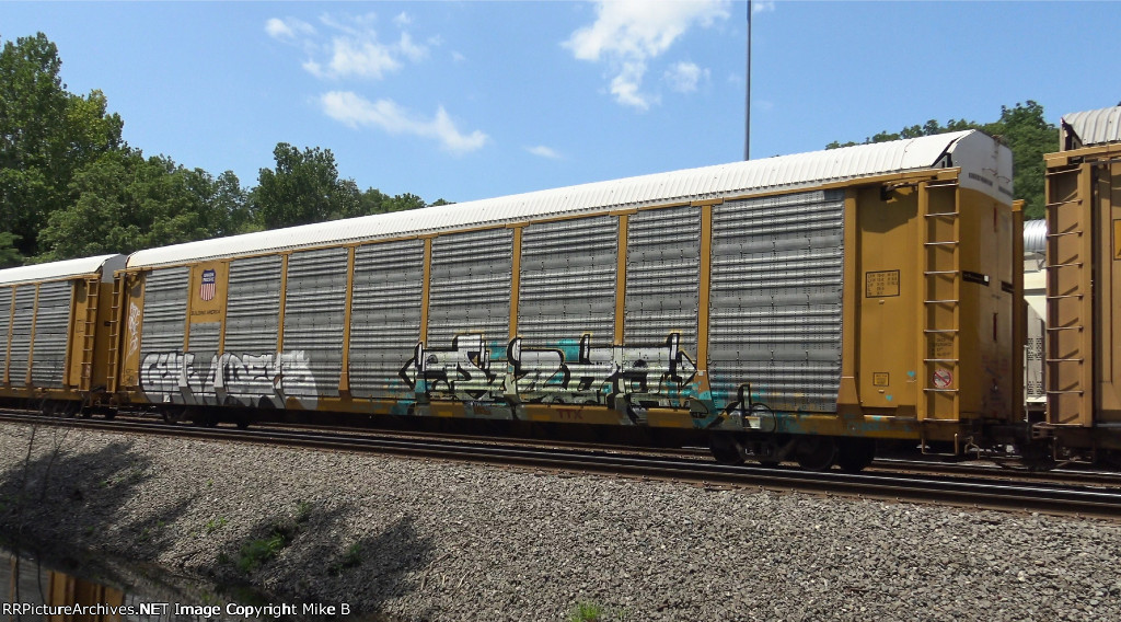 TTGX 981604